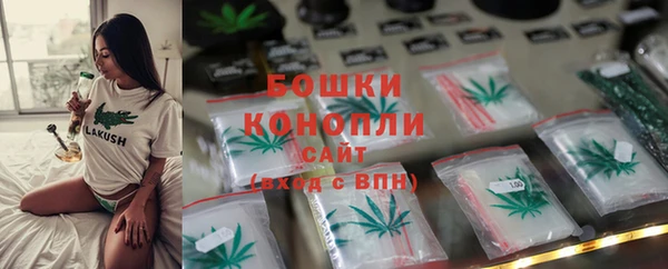 спайс Белокуриха