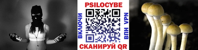 Псилоцибиновые грибы Psilocybe  Киров 
