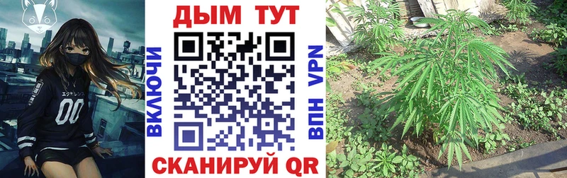 Бошки марихуана гибрид  Киров 